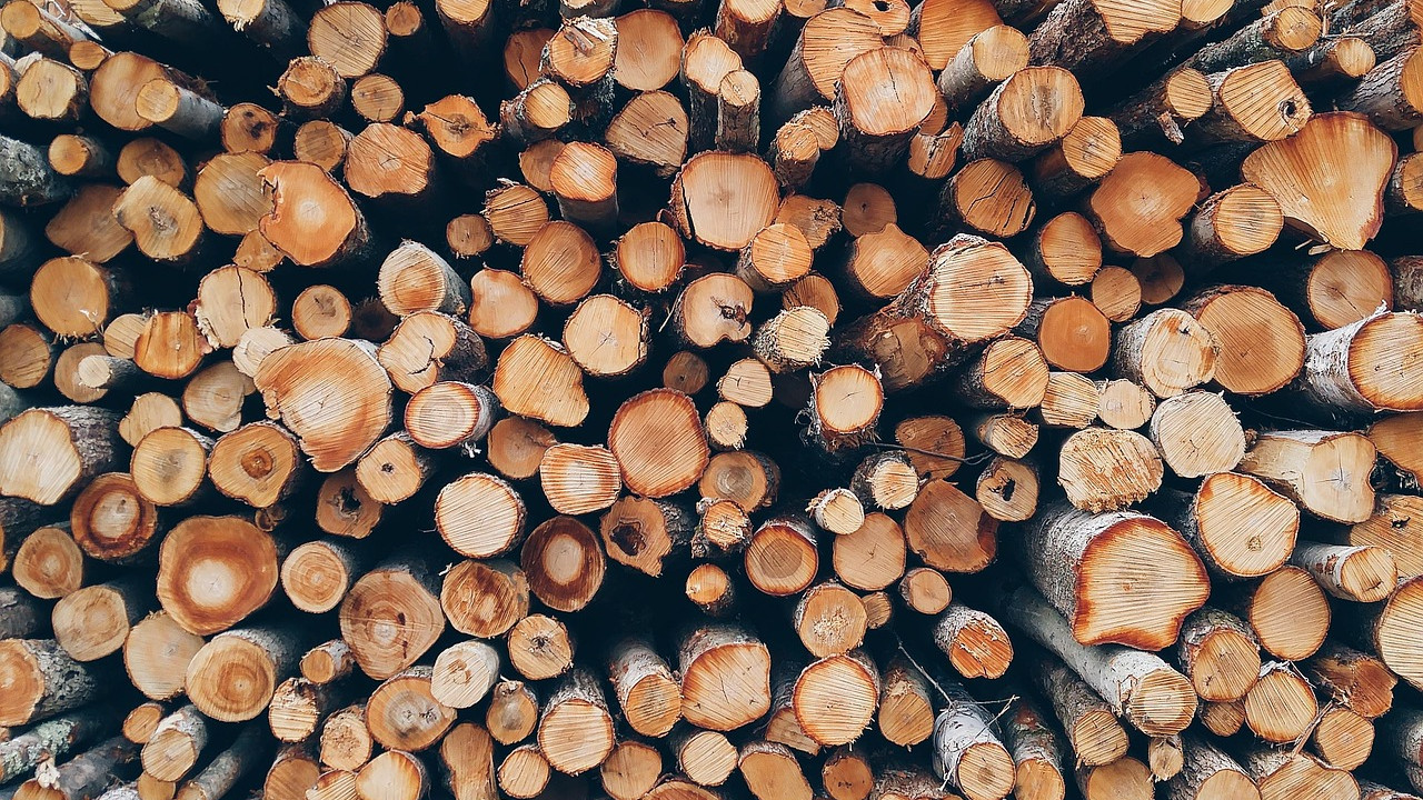 Biomasa leśna